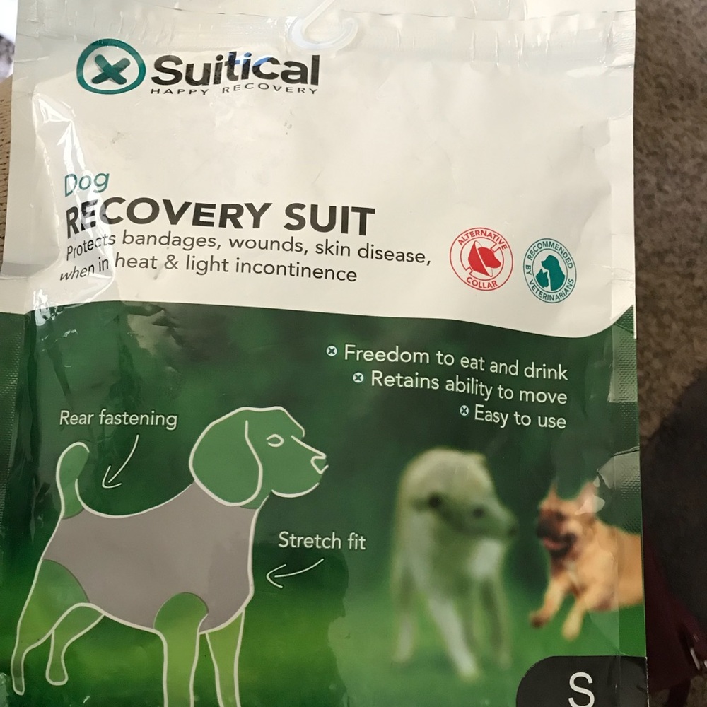 Dog Recovery Suit